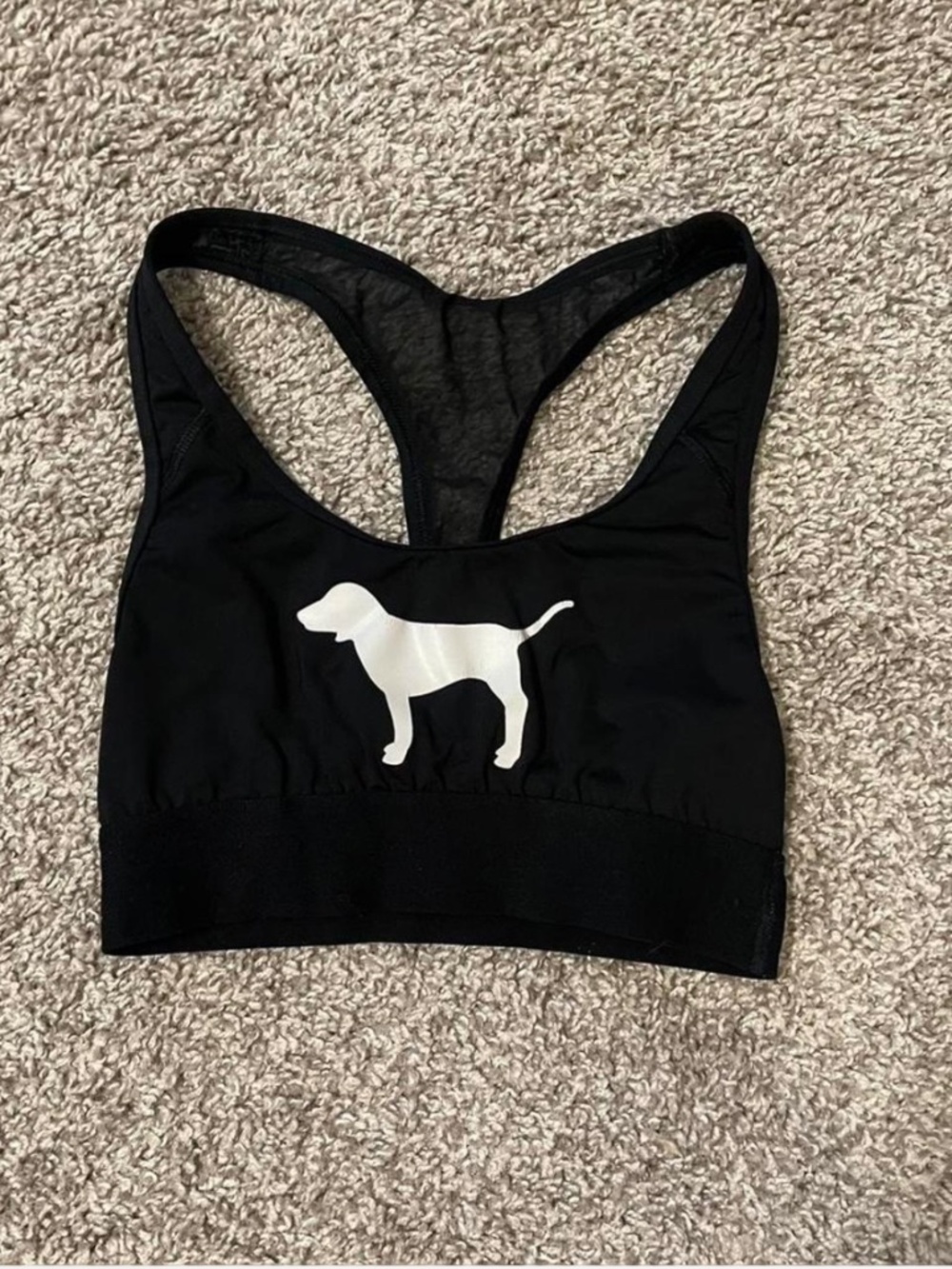 Dog sports bra